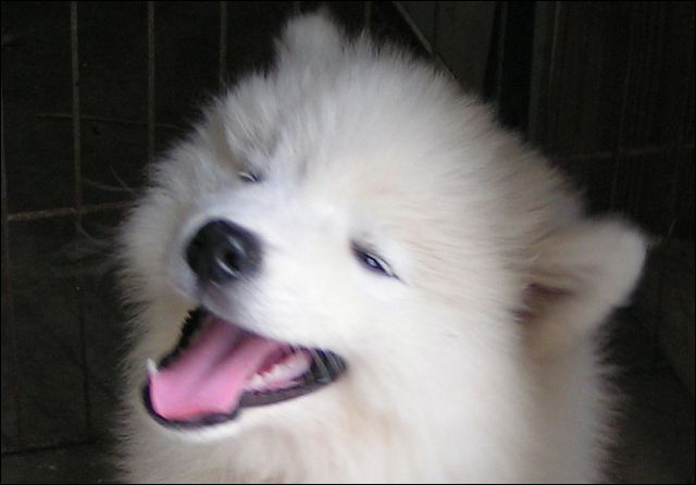 boy-2.jpg