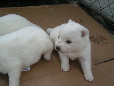 pict0011.jpg