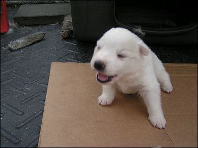 pict0012.jpg