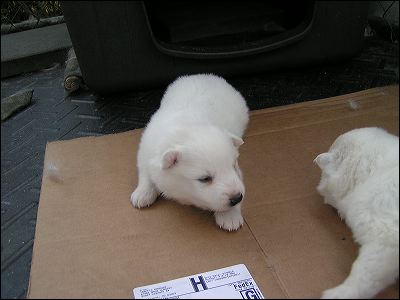 pict0016.jpg