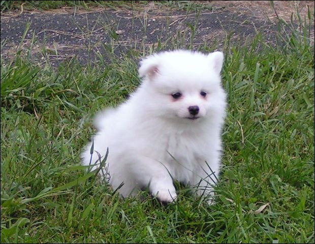 boyb-3~1.jpg