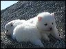 pict0036