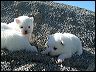 pict0037