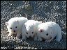 pict0038