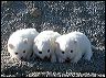 pict0040