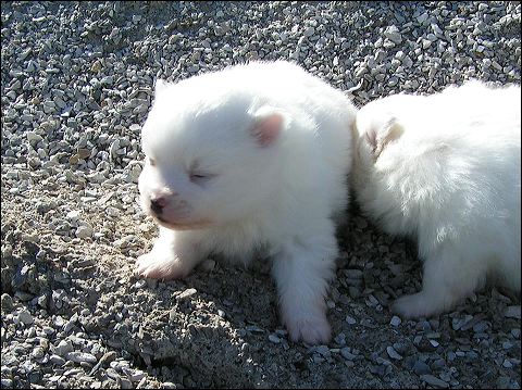 pict0035.jpg