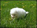 pict0032