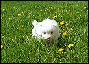 pict0033