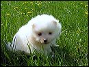 pict0037