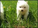 pict0039