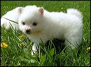 pict0041