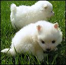 pict0043