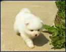 pict0048