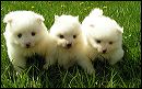 pict0050