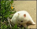 pict0053