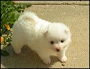 pict0055