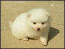 pict0056