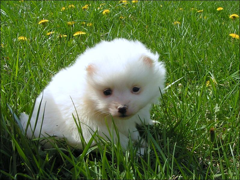 pict0037.jpg