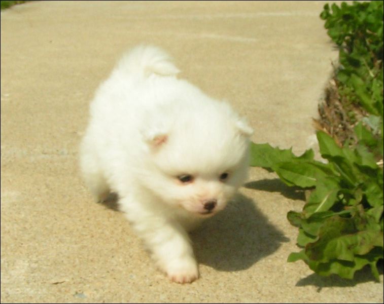 pict0048.jpg
