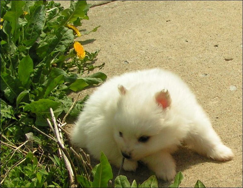 pict0053.jpg