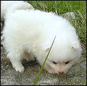 pict0004