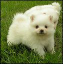 pict0006