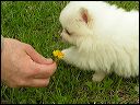 pict0011