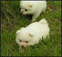 pict0013