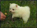 pict0015