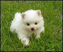 pict0017