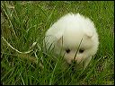 pict0021