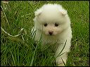pict0022