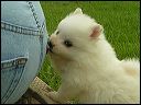 pict0026
