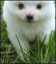 pict0027