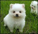 pict0028
