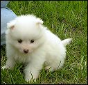 pict0030