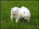 pict0032