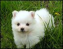 pict0040