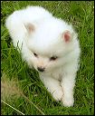 pict0043