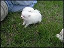 pict0045