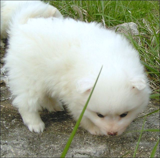 pict0004.jpg