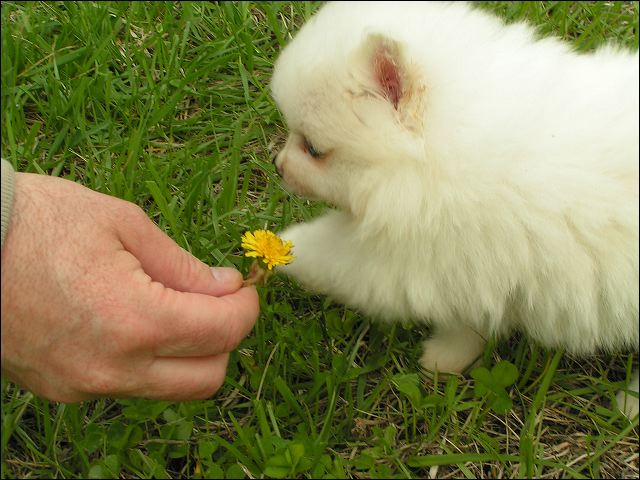 pict0011.jpg