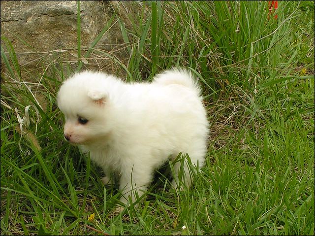 pict0020.jpg