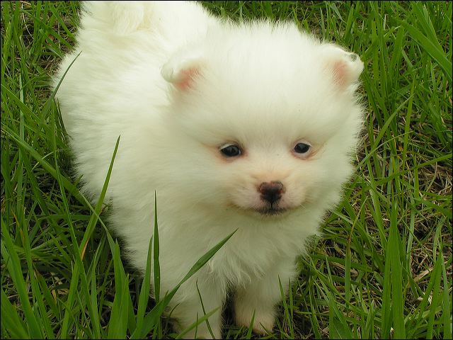 pict0023.jpg
