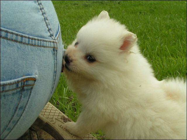 pict0026.jpg