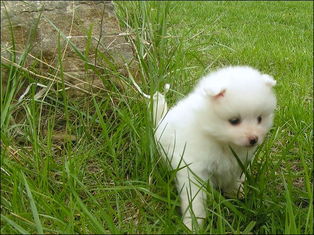 pict0029.jpg