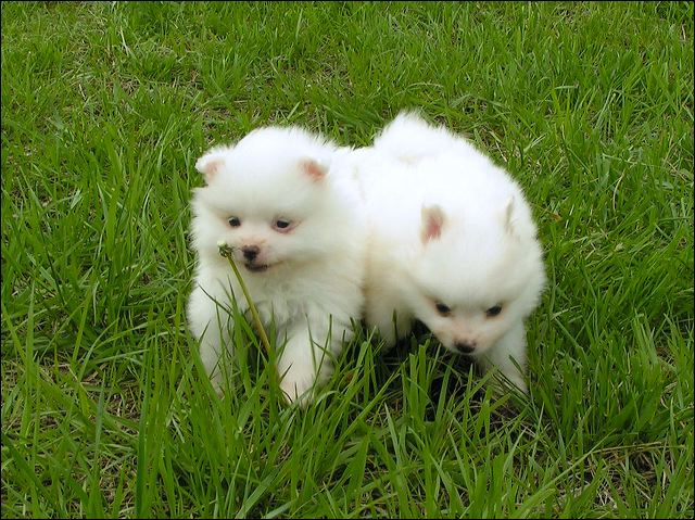 pict0032.jpg