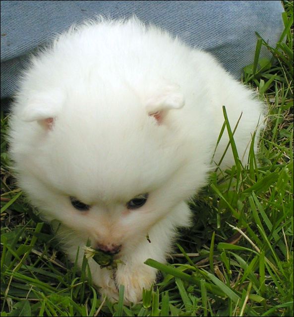 pict0042.jpg