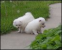 pict0010