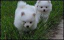 pict0013